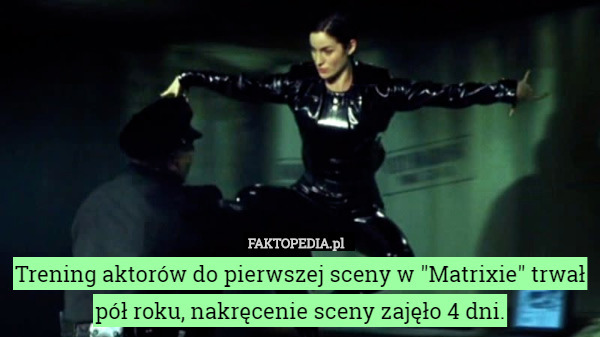 Trening aktorów do pierwszej sceny w "Matrixie" trwał pół roku, nakręcenie sceny zajęło 4 dni. 