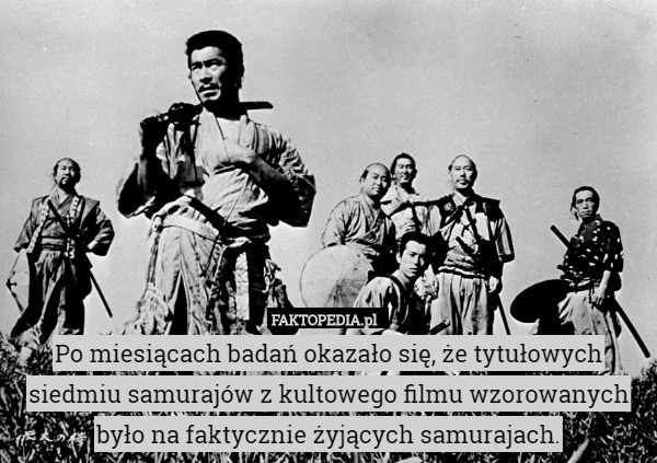 Po miesiącach badań okazało się, że tytułowych siedmiu samurajów z kultowego filmu wzorowanych było na faktycznie żyjących samurajach. 