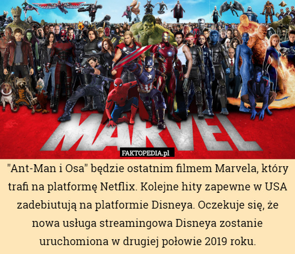 "Ant-Man i Osa" będzie ostatnim filmem Marvela, który trafi na platformę Netflix. Kolejne hity zapewne w USA zadebiutują na platformie Disneya. Oczekuje się, że nowa usługa streamingowa Disneya zostanie uruchomiona w drugiej połowie 2019 roku. 
