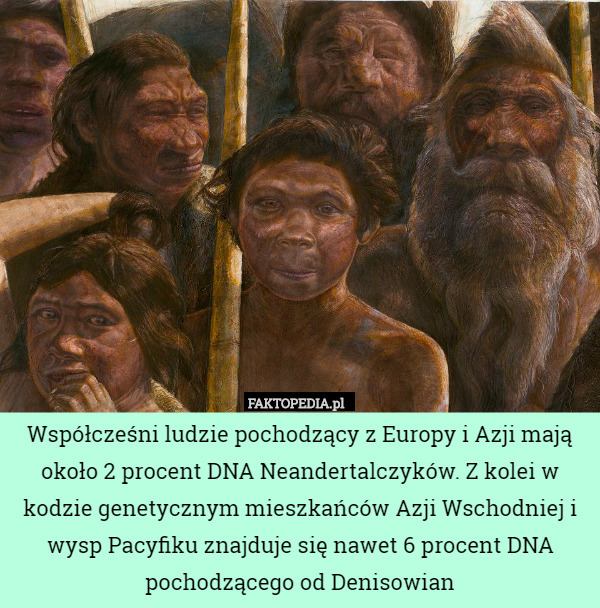 Współcześni ludzie pochodzący z Europy i Azji mają około 2 procent DNA Neandertalczyków. Z kolei w kodzie genetycznym mieszkańców Azji Wschodniej i wysp Pacyfiku znajduje się nawet 6 procent DNA pochodzącego od Denisowian 
