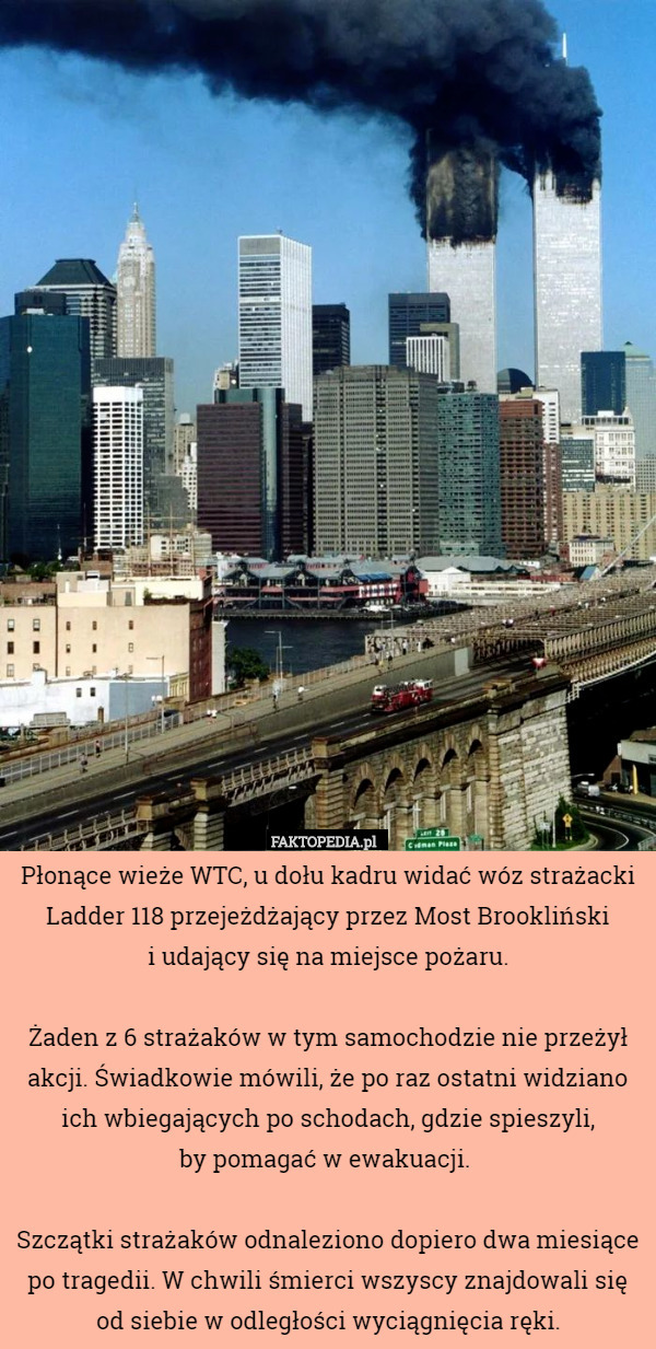Płonące wieże WTC, u dołu kadru widać wóz strażacki Ladder 118 przejeżdżający przez Most Brookliński
 i udający się na miejsce pożaru.

Żaden z 6 strażaków w tym samochodzie nie przeżył akcji. Świadkowie mówili, że po raz ostatni widziano ich wbiegających po schodach, gdzie spieszyli,
 by pomagać w ewakuacji. 

Szczątki strażaków odnaleziono dopiero dwa miesiące po tragedii. W chwili śmierci wszyscy znajdowali się od siebie w odległości wyciągnięcia ręki. 