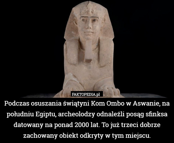Podczas osuszania świątyni Kom Ombo w Aswanie, na południu Egiptu, archeolodzy odnaleźli posąg sfinksa datowany na ponad 2000 lat. To już trzeci dobrze zachowany obiekt odkryty w tym miejscu. 