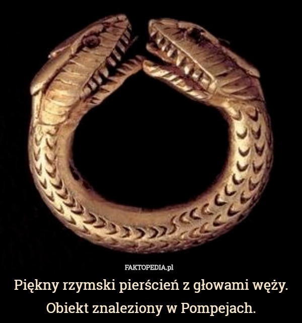 Piękny rzymski pierścień z głowami węży. Obiekt znaleziony w Pompejach. 