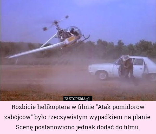 Rozbicie helikoptera w filmie "Atak pomidorów zabójców" było rzeczywistym wypadkiem na planie. Scenę postanowiono jednak dodać do filmu. 