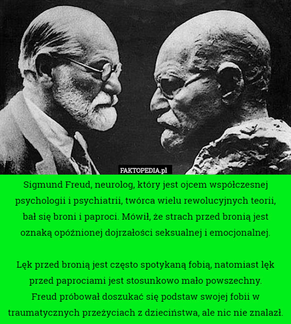Sigmund Freud, neurolog, który jest ojcem współczesnej psychologii i psychiatrii, twórca wielu rewolucyjnych teorii,
 bał się broni i paproci. Mówił, że strach przed bronią jest oznaką opóźnionej dojrzałości seksualnej i emocjonalnej.

 Lęk przed bronią jest często spotykaną fobią, natomiast lęk przed paprociami jest stosunkowo mało powszechny.
 Freud próbował doszukać się podstaw swojej fobii w traumatycznych przeżyciach z dzieciństwa, ale nic nie znalazł. 