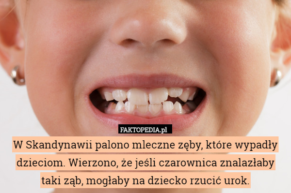 W Skandynawii palono mleczne zęby, które wypadły dzieciom. Wierzono, że jeśli czarownica znalazłaby taki ząb, mogłaby na dziecko rzucić urok. 