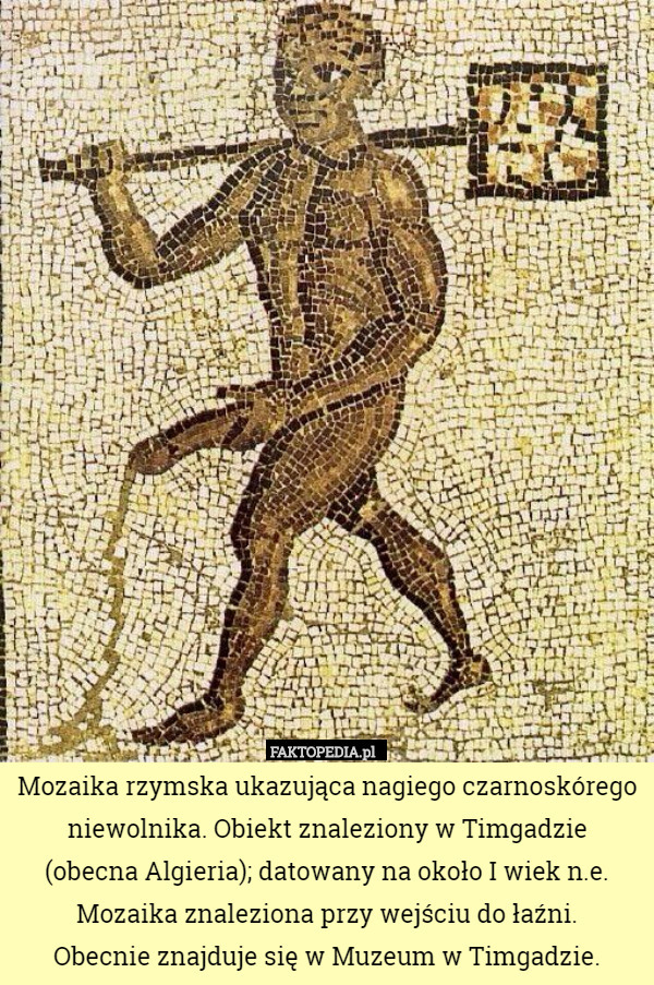 Mozaika rzymska ukazująca nagiego czarnoskórego niewolnika. Obiekt znaleziony w Timgadzie
 (obecna Algieria); datowany na około I wiek n.e.
Mozaika znaleziona przy wejściu do łaźni.
 Obecnie znajduje się w Muzeum w Timgadzie. 