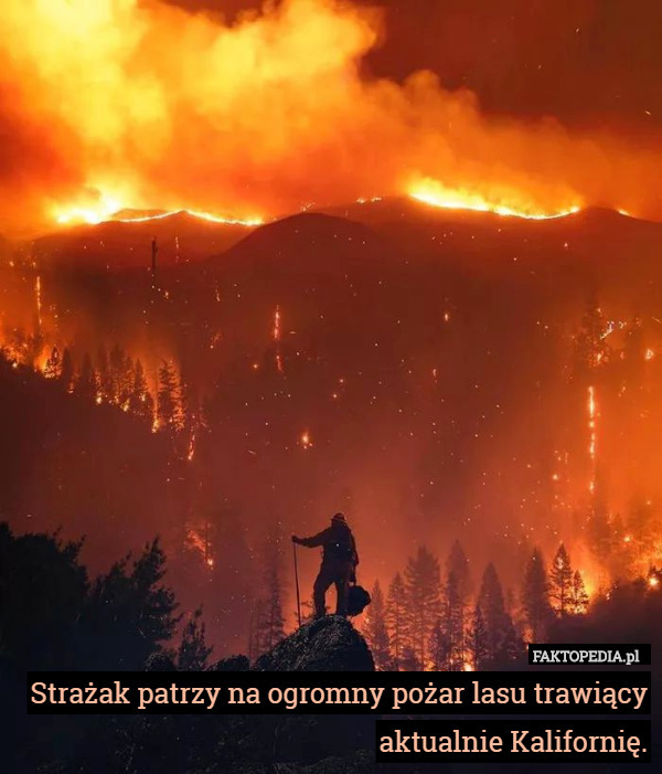 Strażak patrzy na ogromny pożar lasu trawiący aktualnie Kalifornię. 