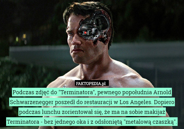 Podczas zdjęć do "Terminatora", pewnego popołudnia Arnold Schwarzenegger poszedł do restauracji w Los Angeles. Dopiero podczas lunchu zorientował się, że ma na sobie makijaż Terminatora - bez jednego oka i z odsłoniętą "metalową czaszką". 