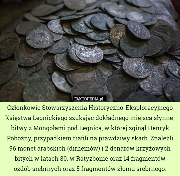 Członkowie Stowarzyszenia Historyczno-Eksploracyjnego Księstwa Legnickiego szukając dokładnego miejsca słynnej bitwy z Mongołami pod Legnicą, w której zginął Henryk Pobożny, przypadkiem trafili na prawdziwy skarb. Znaleźli 96 monet arabskich (dirhemów) i 2 denarów krzyżowych bitych w latach 80. w Ratyzbonie oraz 14 fragmentów
 ozdób srebrnych oraz 5 fragmentów złomu srebrnego. 