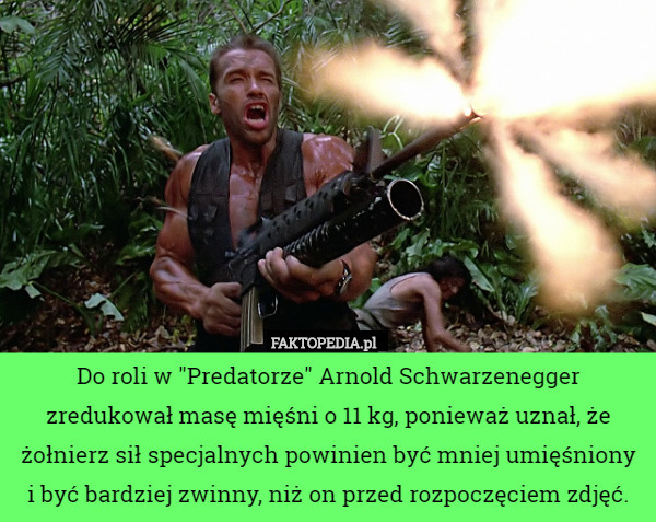 Do roli w "Predatorze" Arnold Schwarzenegger zredukował masę mięśni o 11 kg, ponieważ uznał, że żołnierz sił specjalnych powinien być mniej umięśniony
 i być bardziej zwinny, niż on przed rozpoczęciem zdjęć. 