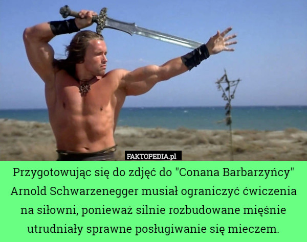 Przygotowując się do zdjęć do "Conana Barbarzyńcy" Arnold Schwarzenegger musiał ograniczyć ćwiczenia na siłowni, ponieważ silnie rozbudowane mięśnie utrudniały sprawne posługiwanie się mieczem. 