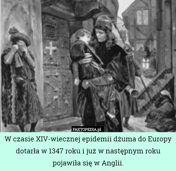 W czasie XIV-wiecznej epidemii dżuma do Europy dotarła w 1347 roku i już w następnym roku pojawiła się w Anglii. 
