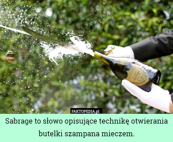 Sabrage to słowo opisujące technikę otwierania butelki szampana mieczem. 
