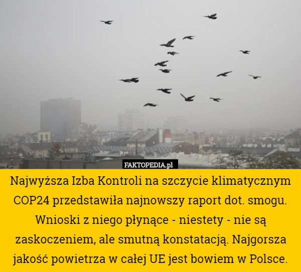Najwyższa Izba Kontroli na szczycie klimatycznym COP24 przedstawiła najnowszy raport dot. smogu. Wnioski z niego płynące - niestety - nie są zaskoczeniem, ale smutną konstatacją. Najgorsza jakość powietrza w całej UE jest bowiem w Polsce. 