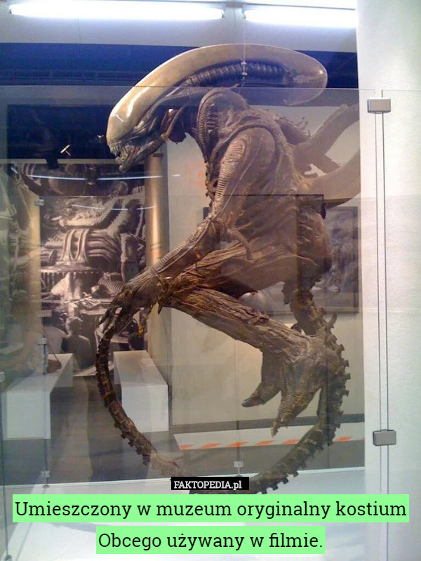 Umieszczony w muzeum oryginalny kostium Obcego używany w filmie. 