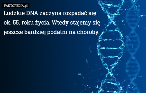 Ludzkie DNA zaczyna rozpadać się
 ok. 55. roku życia. Wtedy stajemy się
 jeszcze bardziej podatni na choroby. 