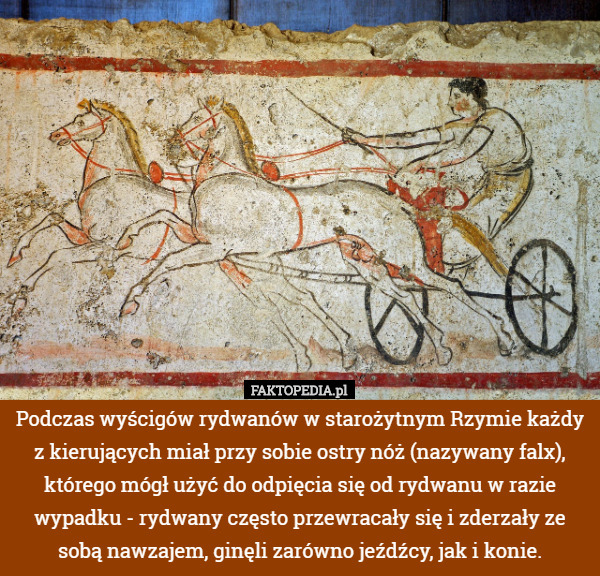 Podczas wyścigów rydwanów w starożytnym Rzymie każdy z kierujących miał przy sobie ostry nóż (nazywany falx), którego mógł użyć do odpięcia się od rydwanu w razie wypadku - rydwany często przewracały się i zderzały ze sobą nawzajem, ginęli zarówno jeźdźcy, jak i konie. 