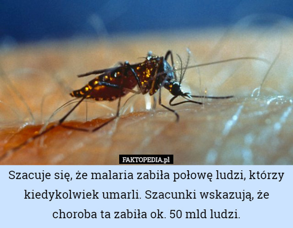 Szacuje się, że malaria zabiła połowę ludzi, którzy kiedykolwiek umarli. Szacunki wskazują, że choroba ta zabiła ok. 50 mld ludzi. 