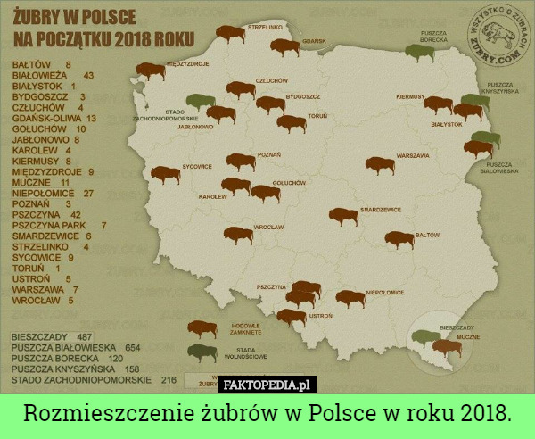 Rozmieszczenie żubrów w Polsce w roku 2018. 