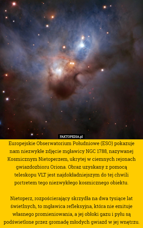 Europejskie Obserwatorium Południowe (ESO) pokazuje nam niezwykłe zdjęcie mgławicy NGC 1788, nazywanej Kosmicznym Nietoperzem, ukrytej w ciemnych rejonach gwiazdozbioru Oriona. Obraz uzyskany z pomocą
 teleskopu VLT jest najdokładniejszym do tej chwili portretem tego niezwykłego kosmicznego obiektu.

 Nietoperz, rozpościerający skrzydła na dwa tysiące lat świetlnych, to mgławica refleksyjna, która nie emituje własnego promieniowania, a jej obłoki gazu i pyłu są podświetlone przez gromadę młodych gwiazd w jej wnętrzu. 