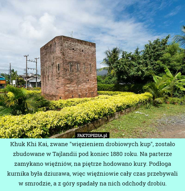 Khuk Khi Kai, zwane "więzieniem drobiowych kup", zostało zbudowane w Tajlandii pod koniec 1880 roku. Na parterze zamykano więźniów, na piętrze hodowano kury. Podłoga kurnika była dziurawa, więc więźniowie cały czas przebywali w smrodzie, a z góry spadały na nich odchody drobiu. 