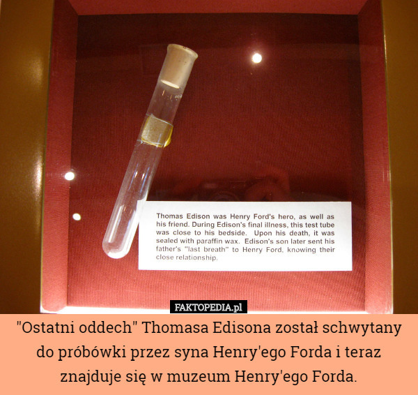 "Ostatni oddech" Thomasa Edisona został schwytany do próbówki przez syna Henry'ego Forda i teraz znajduje się w muzeum Henry'ego Forda. 