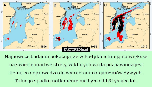 Najnowsze badania pokazują, że w Bałtyku istnieją największe na świecie martwe strefy, w których woda pozbawiona jest tlenu, co doprowadza do wymierania organizmów żywych. Takiego spadku natlenienie nie było od 1,5 tysiąca lat. 