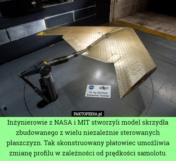 Inżynierowie z NASA i MIT stworzyli model skrzydła zbudowanego z wielu niezależnie sterowanych płaszczyzn. Tak skonstruowany płatowiec umożliwia zmianę profilu w zależności od prędkości samolotu. 