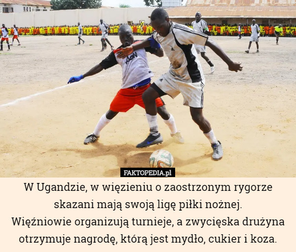 W Ugandzie, w więzieniu o zaostrzonym rygorze skazani mają swoją ligę piłki nożnej.
 Więźniowie organizują turnieje, a zwycięska drużyna otrzymuje nagrodę, którą jest mydło, cukier i koza. 