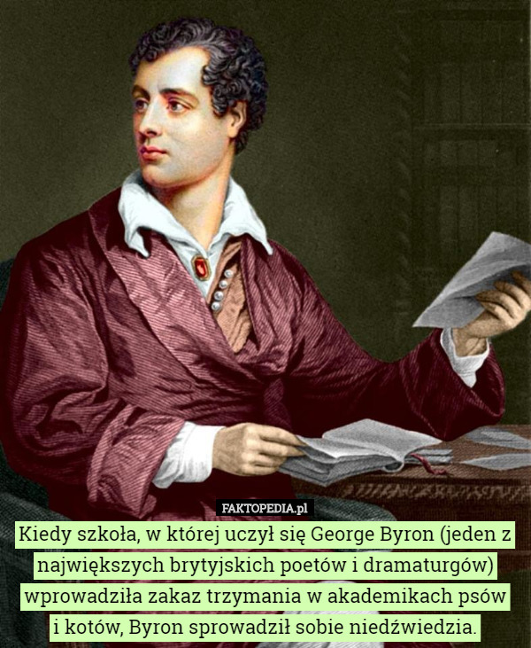 Kiedy szkoła, w której uczył się George Byron (jeden z największych brytyjskich poetów i dramaturgów) wprowadziła zakaz trzymania w akademikach psów
 i kotów, Byron sprowadził sobie niedźwiedzia. 