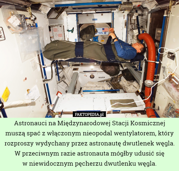 Astronauci na Międzynarodowej Stacji Kosmicznej muszą spać z włączonym nieopodal wentylatorem, który rozproszy wydychany przez astronautę dwutlenek węgla. W przeciwnym razie astronauta mógłby udusić się
 w niewidocznym pęcherzu dwutlenku węgla. 