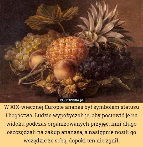 W XIX-wiecznej Europie ananas był symbolem statusu i bogactwa. Ludzie wypożyczali je, aby postawić je na widoku podczas organizowanych przyjęć. Inni długo oszczędzali na zakup ananasa, a następnie nosili go wszędzie ze sobą, dopóki ten nie zgnił. 