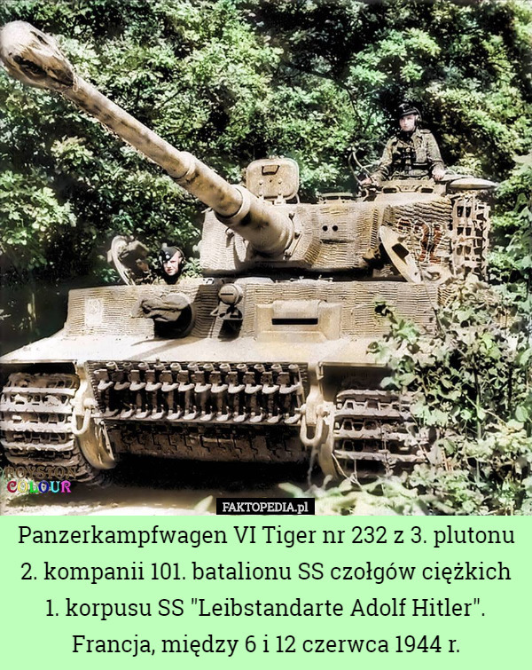 Panzerkampfwagen VI Tiger nr 232 z 3. plutonu 2. kompanii 101. batalionu SS czołgów ciężkich 1. korpusu SS "Leibstandarte Adolf Hitler". Francja, między 6 i 12 czerwca 1944 r. 