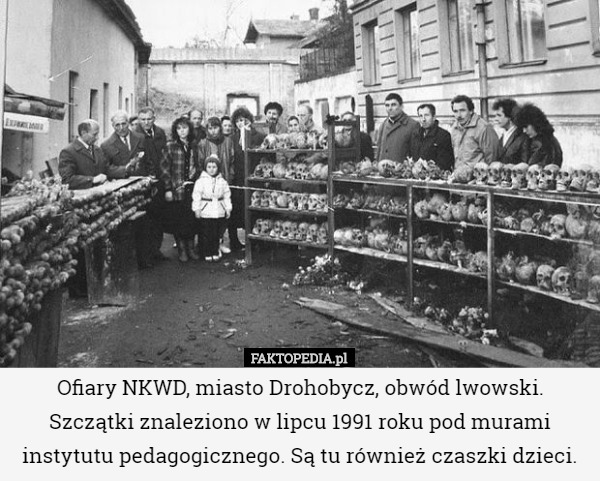 Ofiary NKWD, miasto Drohobycz, obwód lwowski. Szczątki znaleziono w lipcu 1991 roku pod murami instytutu pedagogicznego. Są tu również czaszki dzieci. 