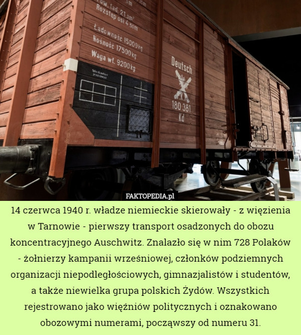 14 czerwca 1940 r. władze niemieckie skierowały - z więzienia w Tarnowie - pierwszy transport osadzonych do obozu koncentracyjnego Auschwitz. Znalazło się w nim 728 Polaków
 - żołnierzy kampanii wrześniowej, członków podziemnych organizacji niepodległościowych, gimnazjalistów i studentów, a także niewielka grupa polskich Żydów. Wszystkich rejestrowano jako więźniów politycznych i oznakowano obozowymi numerami, począwszy od numeru 31. 