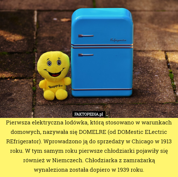 Pierwsza elektryczna lodówka, którą stosowano w warunkach domowych, nazywała się DOMELRE (od DOMestic ELectric REfrigerator). Wprowadzono ją do sprzedaży w Chicago w 1913 roku. W tym samym roku pierwsze chłodziarki pojawiły się również w Niemczech. Chłodziarka z zamrażarką
 wynaleziona została dopiero w 1939 roku. 