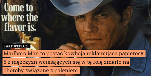Marlboro Man to postać kowboja reklamująca papierosy. 5 z mężczyzn wcielających się w tę rolę zmarło na choroby związane z paleniem. 