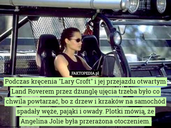 Podczas kręcenia "Lary Croft" i jej przejazdu otwartym Land Roverem przez dżunglę ujęcia trzeba było co chwila powtarzać, bo z drzew i krzaków na samochód spadały węże, pająki i owady. Plotki mówią, że Angelina Jolie była przerażona otoczeniem. 