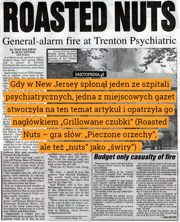 Gdy w New Jersey spłonął jeden ze szpitali psychiatrycznych, jedna z miejscowych gazet stworzyła na ten temat artykuł i opatrzyła go nagłówkiem „Grillowane czubki” (Roasted Nuts – gra słów: „Pieczone orzechy”,
 ale też „nuts” jako „świry”) . 