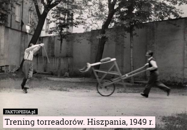 Trening torreadorów. Hiszpania, 1949 r. 