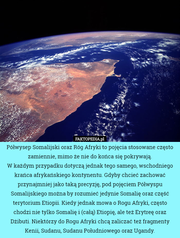 Półwysep Somalijski oraz Róg Afryki to pojęcia stosowane często zamiennie, mimo że nie do końca się pokrywają.
 W każdym przypadku dotyczą jednak tego samego, wschodniego krańca afrykańskiego kontynentu. Gdyby chcieć zachować przynajmniej jako taką precyzję, pod pojęciem Półwyspu Somalijskiego można by rozumieć jedynie Somalię oraz część terytorium Etiopii. Kiedy jednak mowa o Rogu Afryki, często chodzi nie tylko Somalię i (całą) Etiopię, ale też Erytreę oraz Dżibuti. Niektórzy do Rogu Afryki chcą zaliczać też fragmenty Kenii, Sudanu, Sudanu Południowego oraz Ugandy. 
