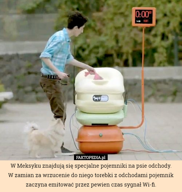 W Meksyku znajdują się specjalne pojemniki na psie odchody.
 W zamian za wrzucenie do niego torebki z odchodami pojemnik zaczyna emitować przez pewien czas sygnał Wi-fi. 