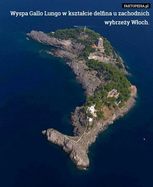 Wyspa Gallo Lungo w kształcie delfina u zachodnich wybrzeży Włoch. 