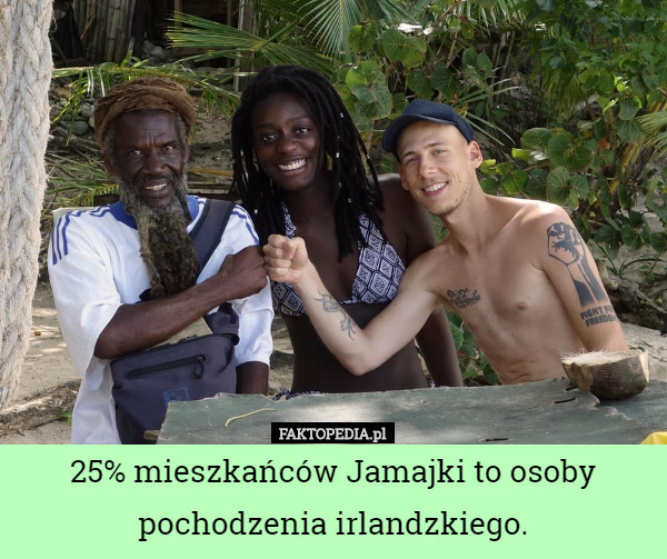 25% mieszkańców Jamajki to osoby pochodzenia irlandzkiego. 