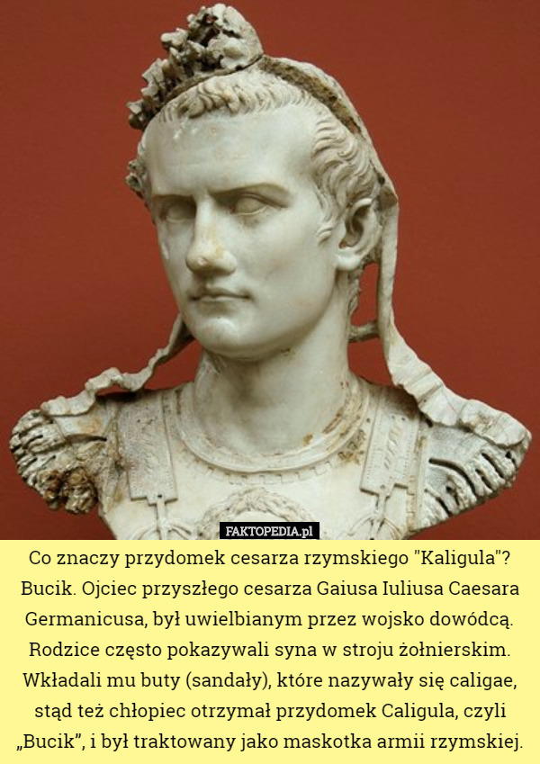 Co znaczy przydomek cesarza rzymskiego "Kaligula"?
Bucik. Ojciec przyszłego cesarza Gaiusa Iuliusa Caesara Germanicusa, był uwielbianym przez wojsko dowódcą. Rodzice często pokazywali syna w stroju żołnierskim. Wkładali mu buty (sandały), które nazywały się caligae, stąd też chłopiec otrzymał przydomek Caligula, czyli „Bucik”, i był traktowany jako maskotka armii rzymskiej. 