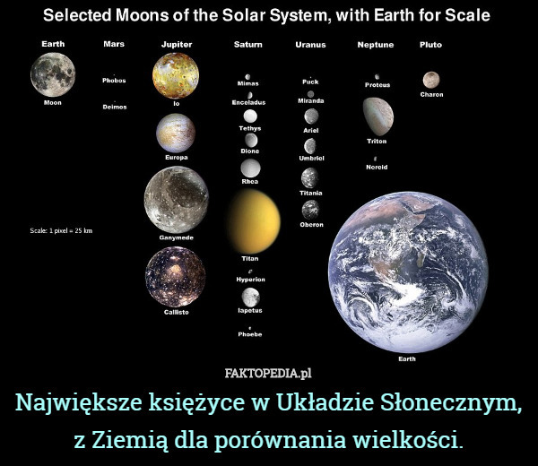 Największe księżyce w Układzie Słonecznym, z Ziemią dla porównania wielkości. 