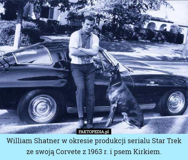 William Shatner w okresie produkcji serialu Star Trek ze swoją Corvete z 1963 r. i psem Kirkiem. 