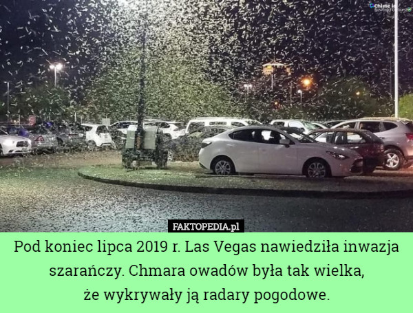 Pod koniec lipca 2019 r. Las Vegas nawiedziła inwazja szarańczy. Chmara owadów była tak wielka,
 że wykrywały ją radary pogodowe. 