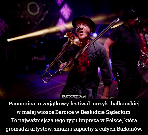 Pannonica to wyjątkowy festiwal muzyki bałkańskiej
 w małej wiosce Barcice w Beskidzie Sądeckim.
 To najważniejsza tego typu impreza w Polsce, która gromadzi artystów, smaki i zapachy z całych Bałkanów. 